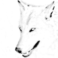 Unknown's avatar